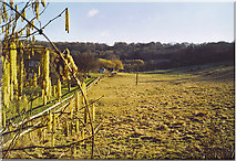 TQ0450 : Sunray Farm, West Clandon. by Colin Smith