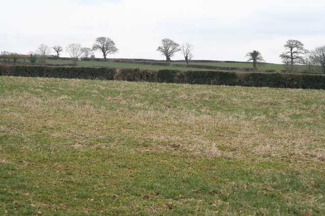 Broadhembury: fields south east of Kerswell