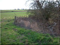 SP8859 : Parish Boundary Brook by Will Lovell