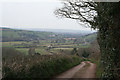 Bradninch: lane east of Washbeerhayes Farm