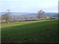 View near Chudleigh