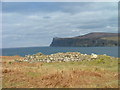 Ruined Croft House