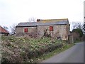 Gatwick Farm with Daffodils