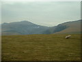 SH4849 : Farmland near Cwm Dulyn by David Medcalf