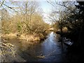 River Itchen between Itchen Abbas and Avington Park