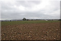 Looking southwest across farmland