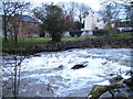 Weir on Creedy at Half Moon Village