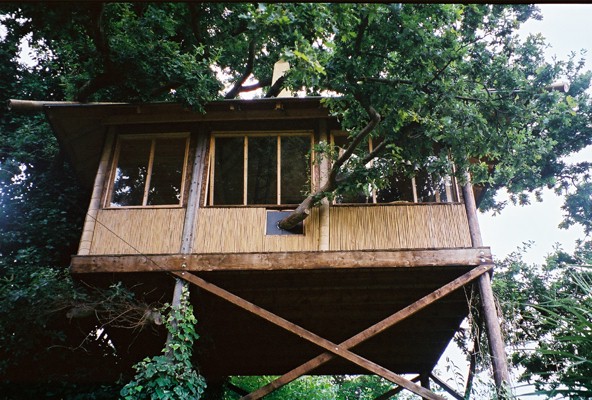 Tree House in an Exotic Garden