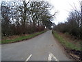NY5934 : The Skirwith road looking towards Ellercow by Keith Wright
