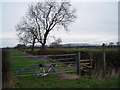 Public Footpath to Middleton Hall