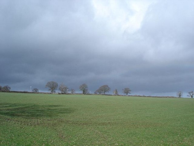 Trefnant fields