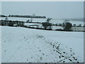 Snowy fields, Upper Hopton