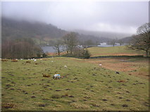 NY3406 : Rydal Water by DS Pugh