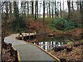 Boardwalk & pond, Mabie Forest