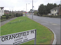 H4672 : Orangefield Park, Hospital Road, Omagh by Kenneth  Allen