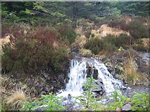 NG4226 : Waterfall in Glen Brittle Forest by John Allan