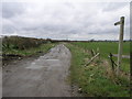 Footpath to Nowhere