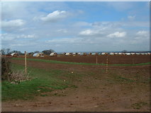 SE3844 : Pig farm near Compton by John Turner