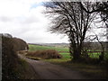 Footpath Crowhurst East Sussex