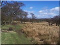 Between Witton and Lodge Farms