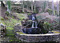 Birks Gill Waterfall :  Low Houses