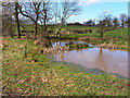 Pond near Langton Hall