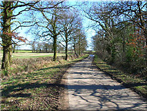 SE3098 : Country lane between Ellerton and Streetlam by Oliver Dixon