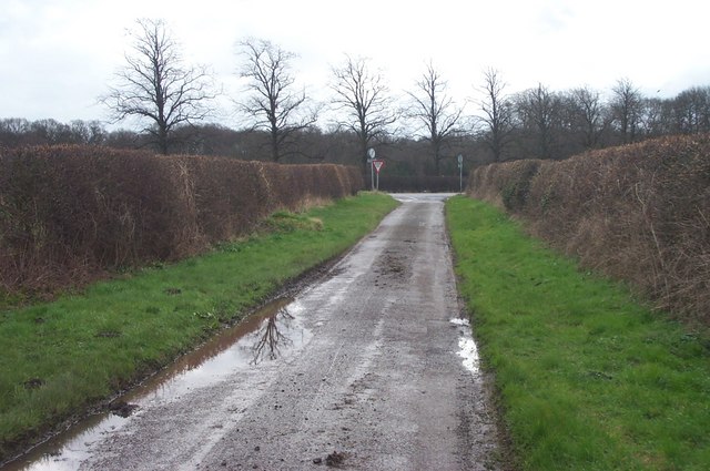 Lane near Holbeck Woodhouse