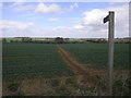 Footpath to Barton