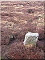SD9971 : Boundary stone at grid reference SD999714 by Richard Swales