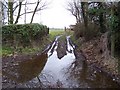 Wet Footpath track