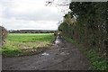 Track running east from Grateley Village