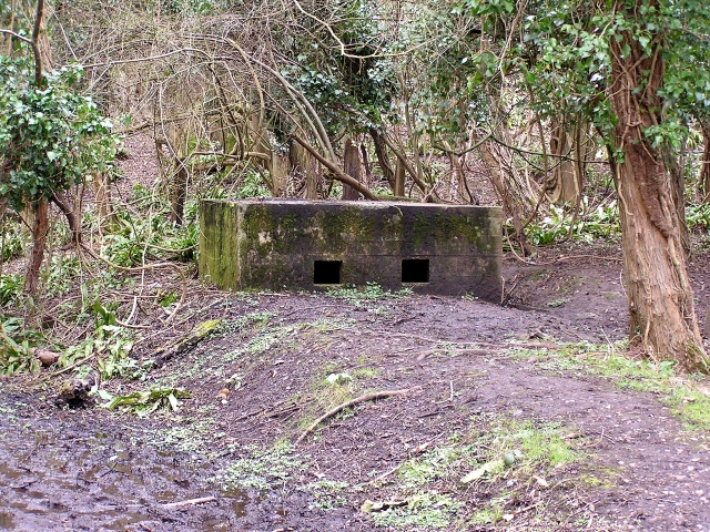 Pill box, Welsh Bicknor © Stuart Wilding :: Geograph Britain and Ireland