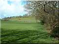 Fields next to Carr Wood