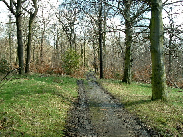 Carr Wood © Nigel Homer :: Geograph Britain and Ireland