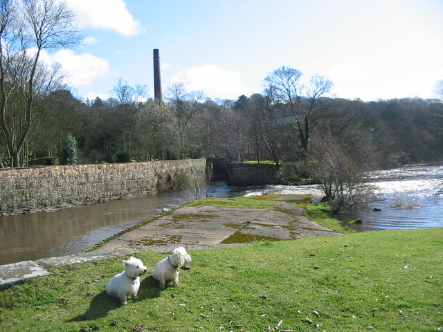Peckwash Paper Mill on the Derwent