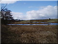 Loudon Pond Nature Reserve