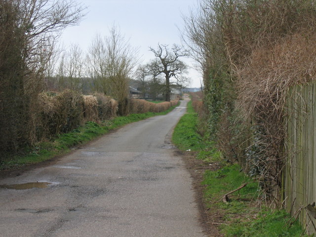Lane leading to Chesterton Farm Cirencester