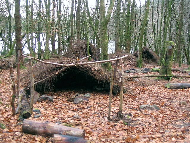 Shelters in Taliaris Forest © Nigel Davies :: Geograph Britain and Ireland