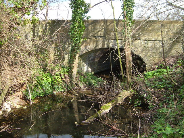 Chard Canal near Thornfalcon © Derek Harper cc-by-sa/2.0 :: Geograph ...