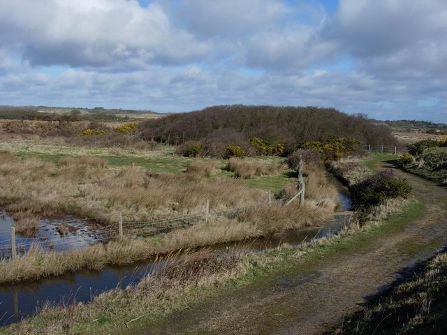 Keyhaven Marshes