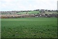 Pasture Land East of Gwennap