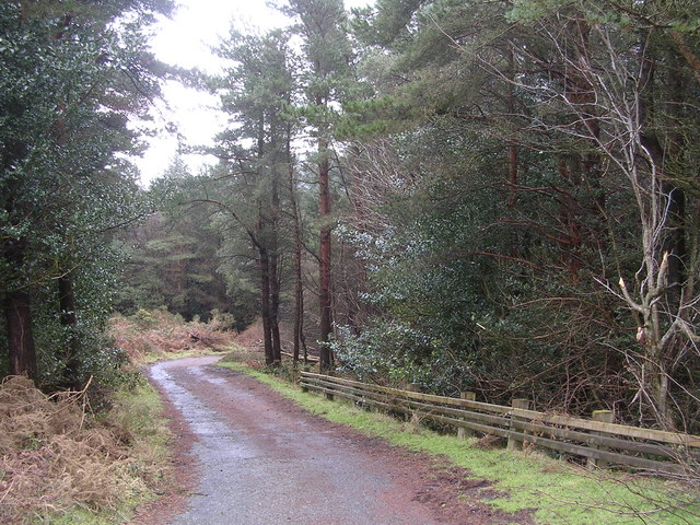 Access Road to Drinnahilly Mast