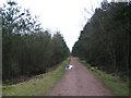 NS9687 : Forestry Track, Devilla by Colin Inverarity