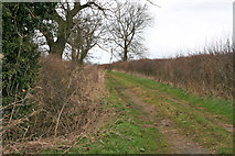 SK8719 : Farm Track near Wymondham by Kate Jewell