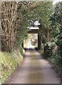 Bridleway at Hurtmore, Shackleford