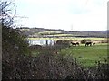 The edge of the marsh, Seasalter