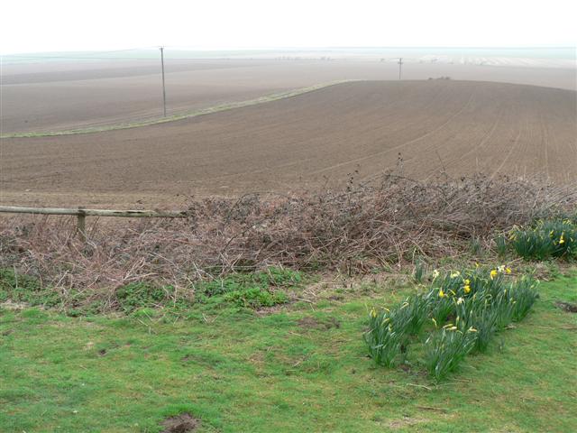 Ploughed Fields at South Down
