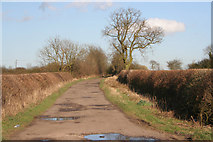 SK6222 : Farm Road on Narrow Lane by Kate Jewell