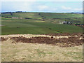 Valley of the Hedleyhope Burn